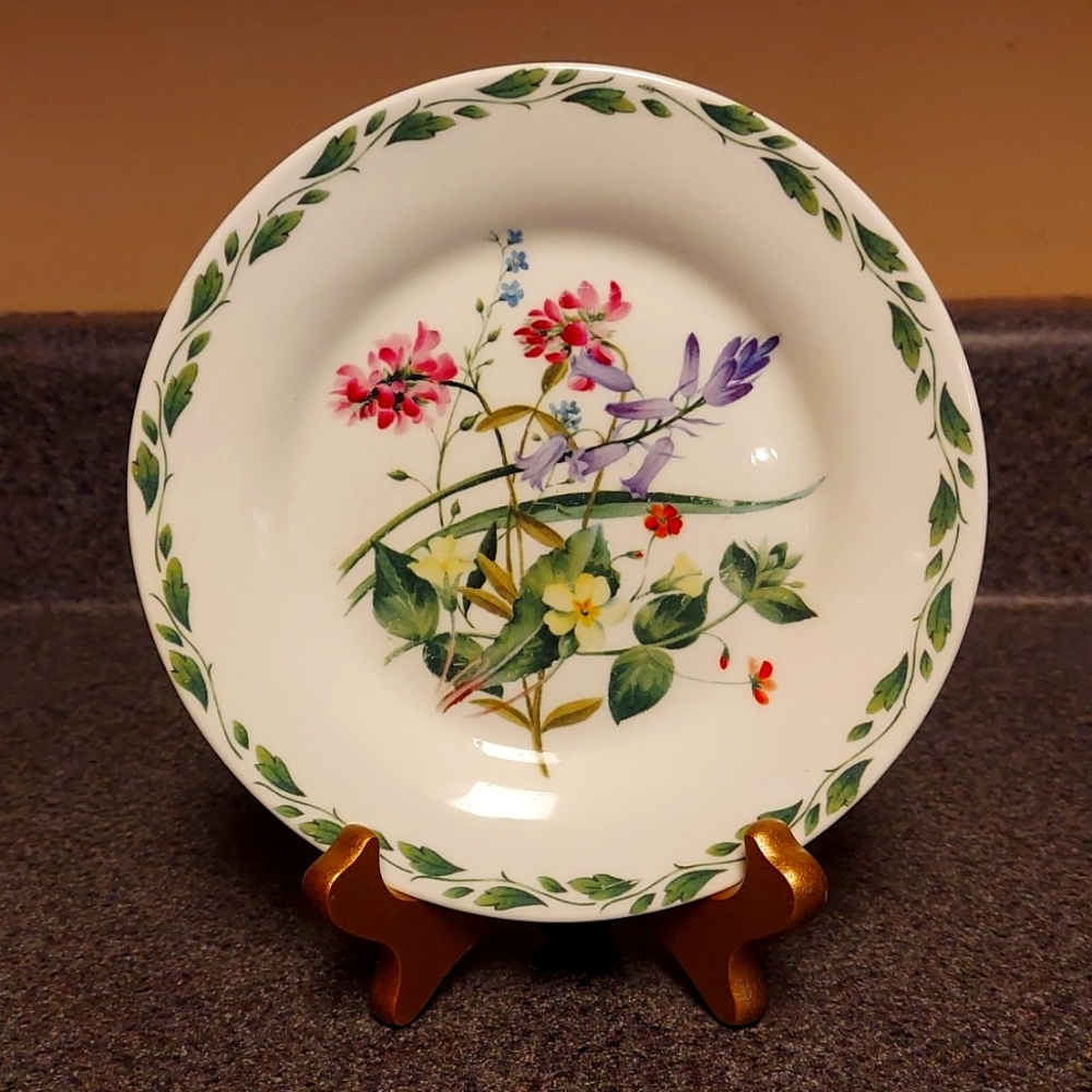 THE ROYAL HORTICULTURE Bone China Display Plate - The Queens Garden Vintage EUC